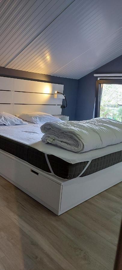 Le Cerf1 Guest House Bertogne Екстериор снимка